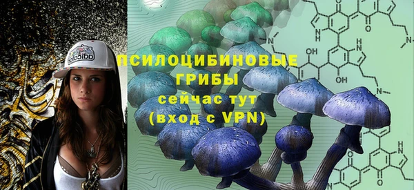 винт Богданович