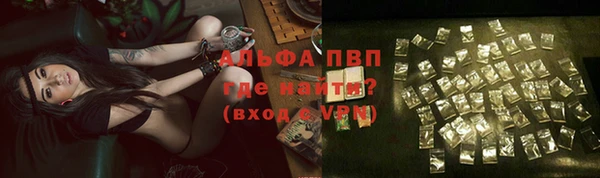 винт Богданович