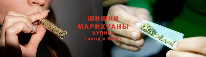 винт Богданович