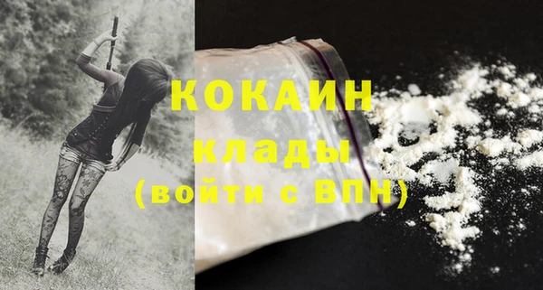 кокс Белокуриха