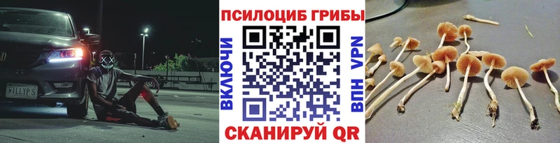 Галлюциногенные грибы GOLDEN TEACHER  как найти   blacksprut ТОР  Ростов-на-Дону 